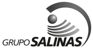 Grupo Salinas